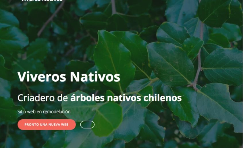 Vivero nativo en chile