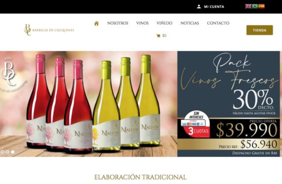 Vinos Viognier en santiago