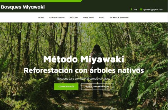 Plantar especies nativas en santiago